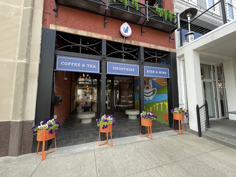 River Kitty Cat Cafe