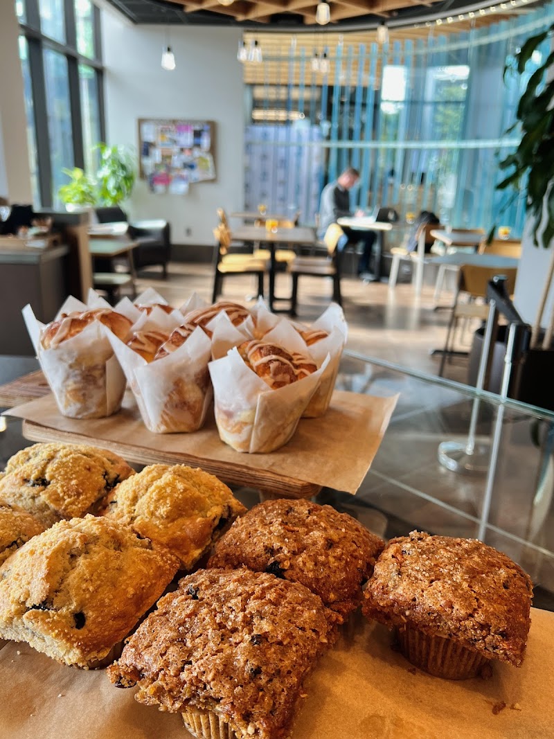 The Cup Coffee Lounge