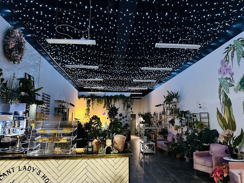 The Plant Lady's House