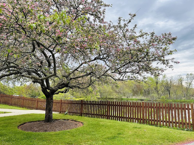 millyard technology office park riverview cafe