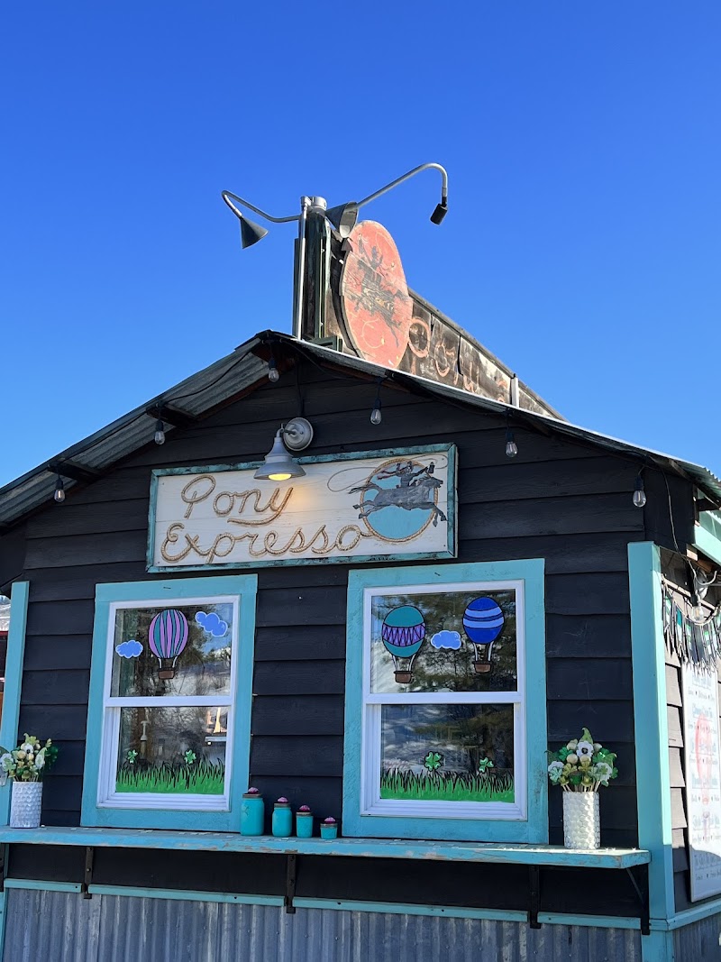 Katie’s Pony Expresso