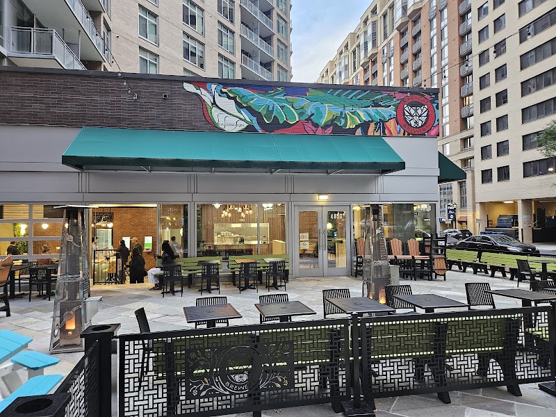 BabyCat Brewery Bethesda