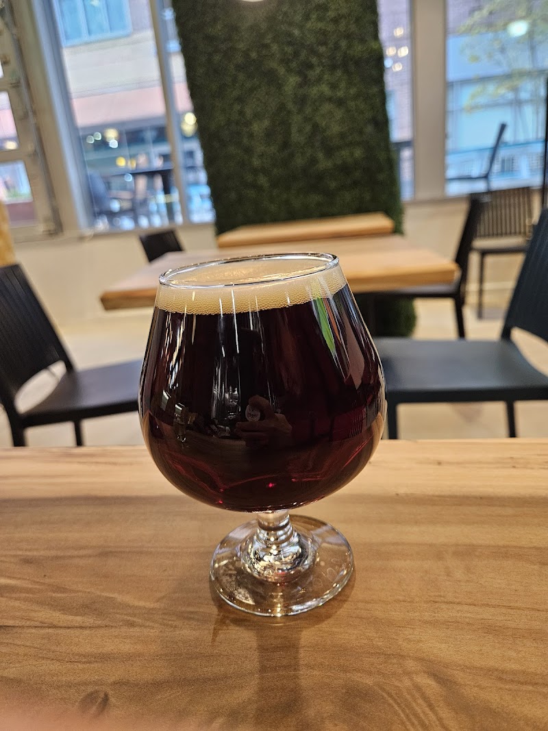 BabyCat Brewery Bethesda