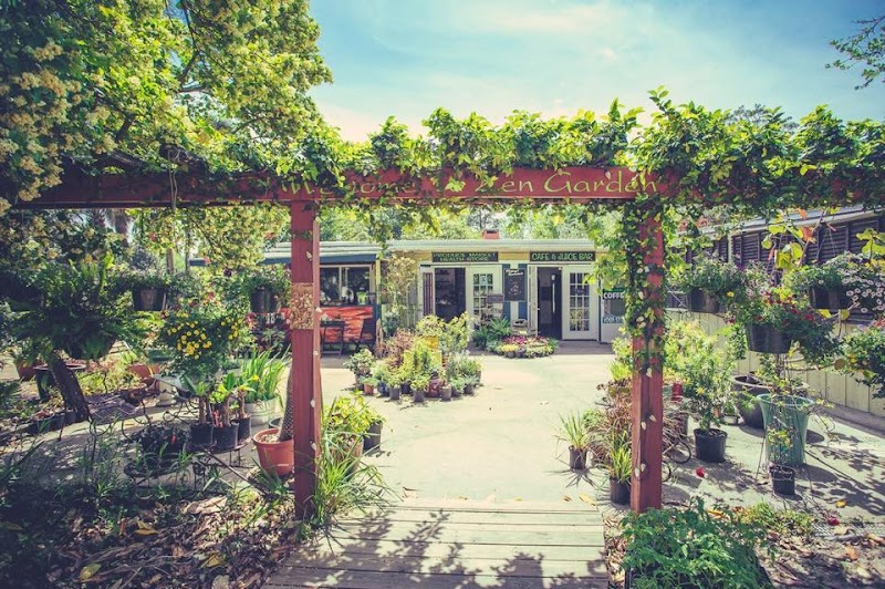 Lotus Cafe & Juice Bar At Zen Garden