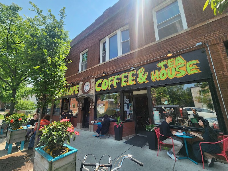 Jackalope Coffee & Tea House