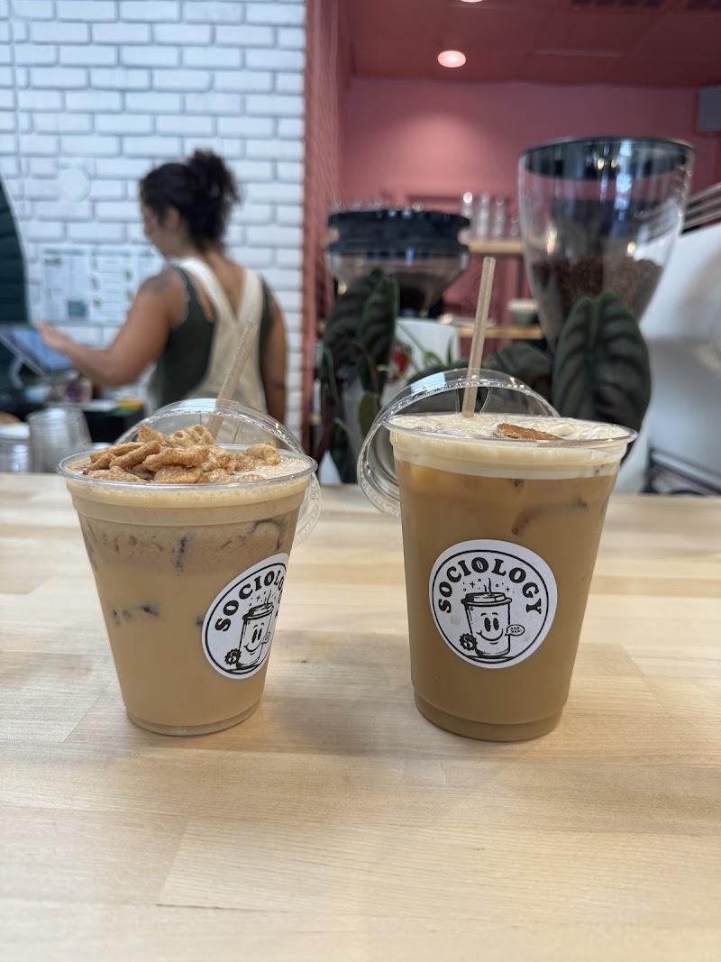 Sociology Coffee Bar (Placerville)