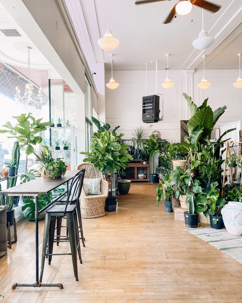 410 Niche Coffee & Shop