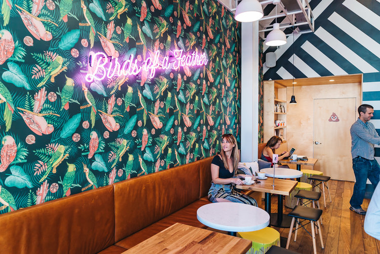 Parakeet Cafe - La Jolla