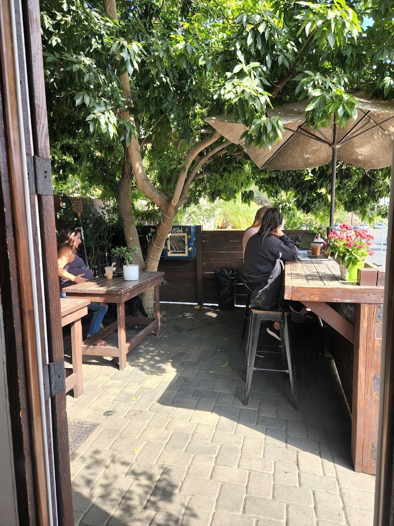 MOE COFFEE LITTLE ITALY