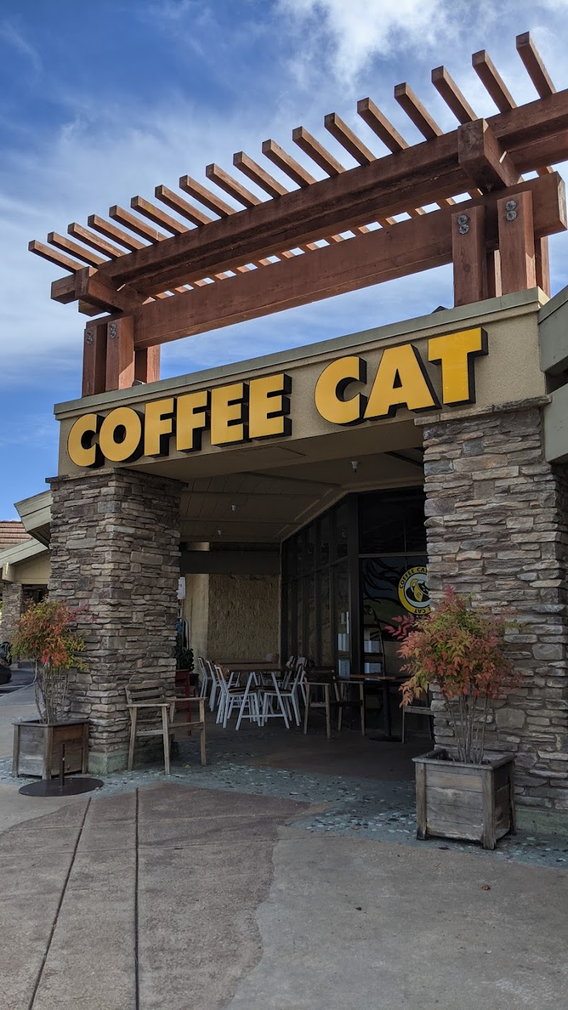 Coffee Cat