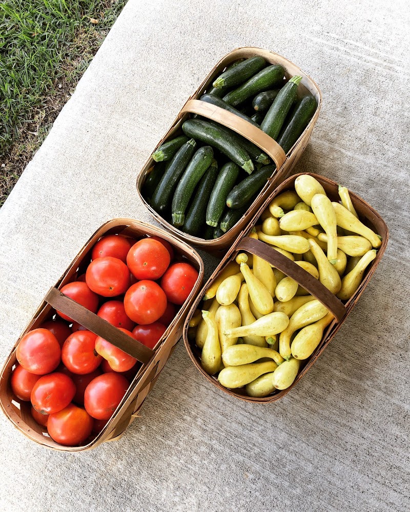 Starland Cafe & Catering