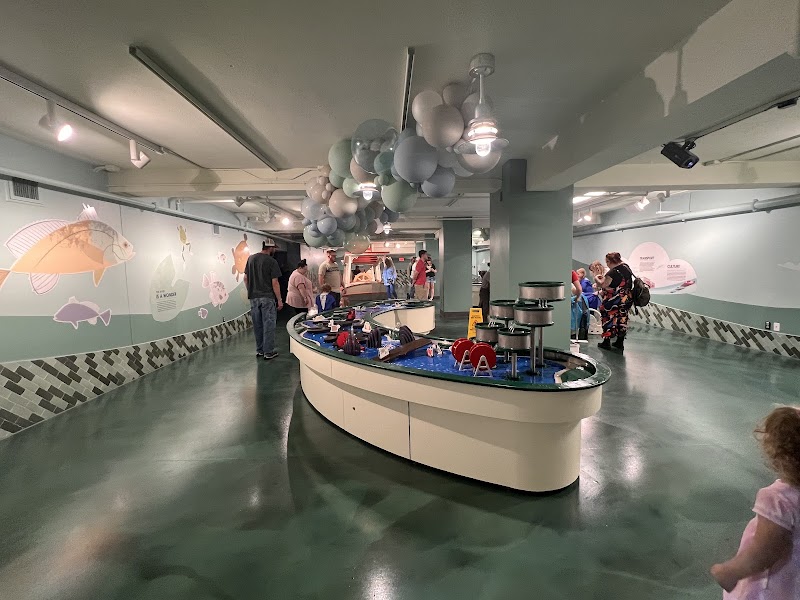 Discovery World on Market