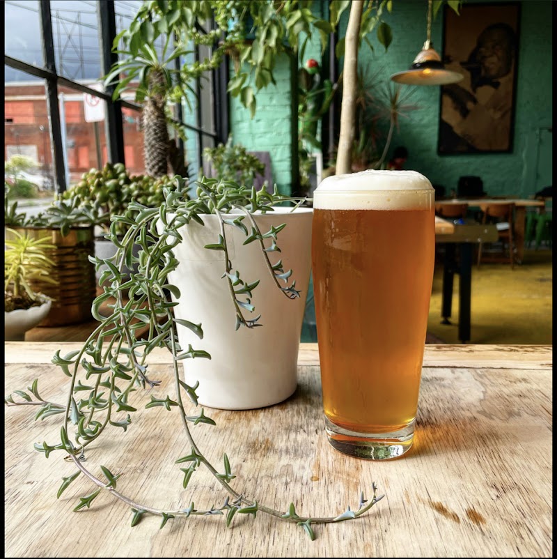 Golden Cactus Brewing