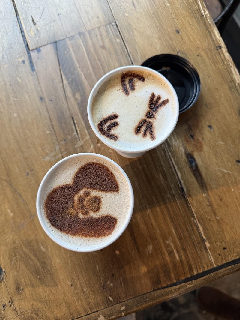 Seattle Meowtropolitan