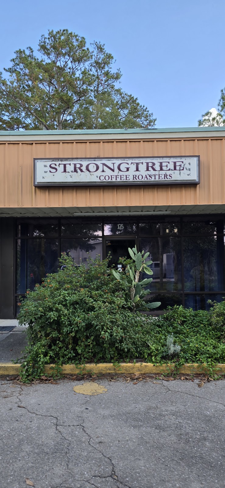 Strongtree Organic Coffee Roasters