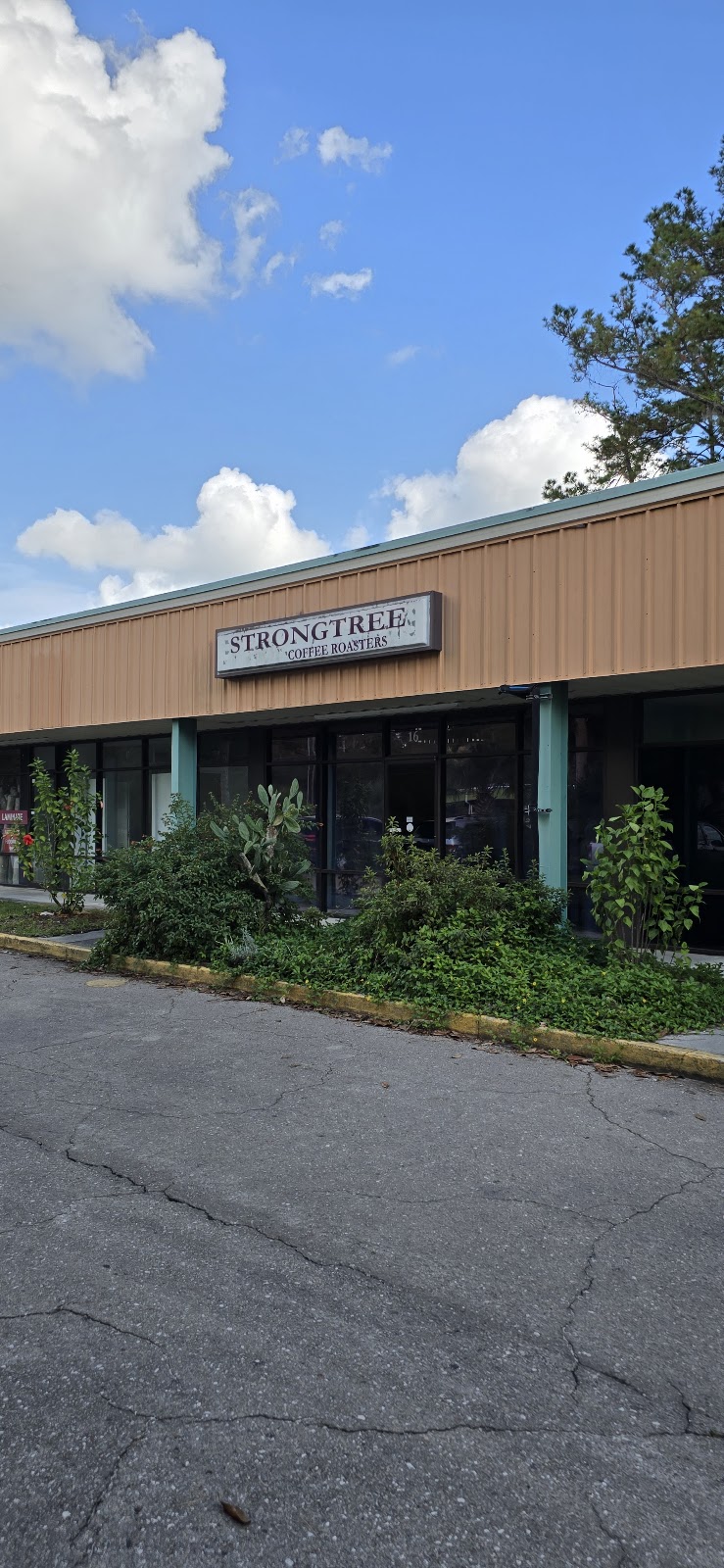 Strongtree Organic Coffee Roasters