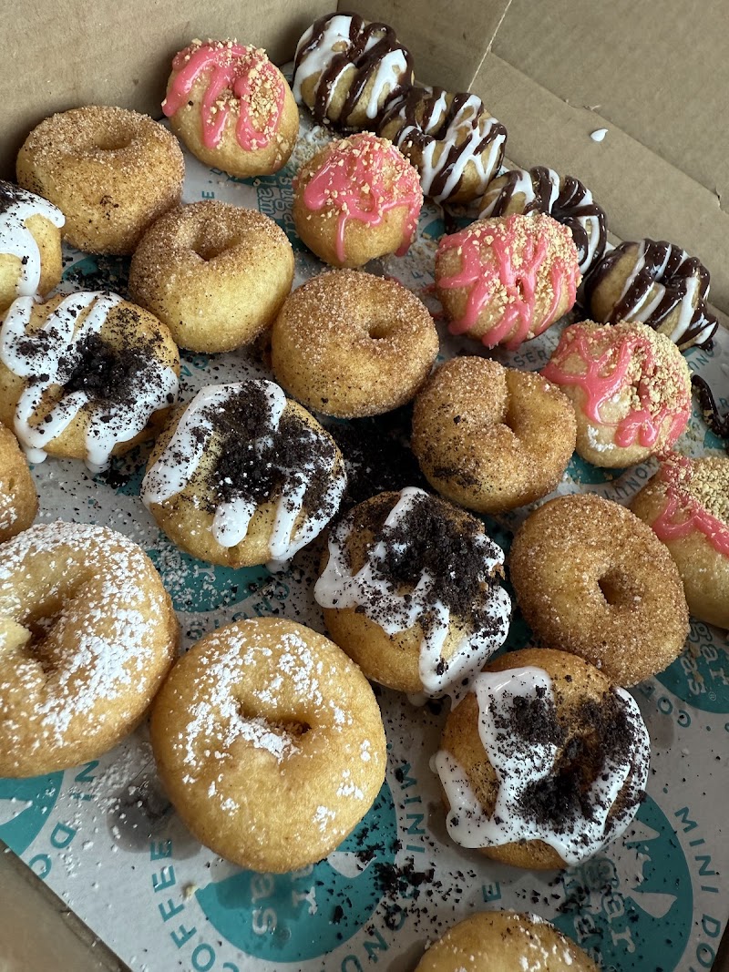 Sugar Llamas Arlington