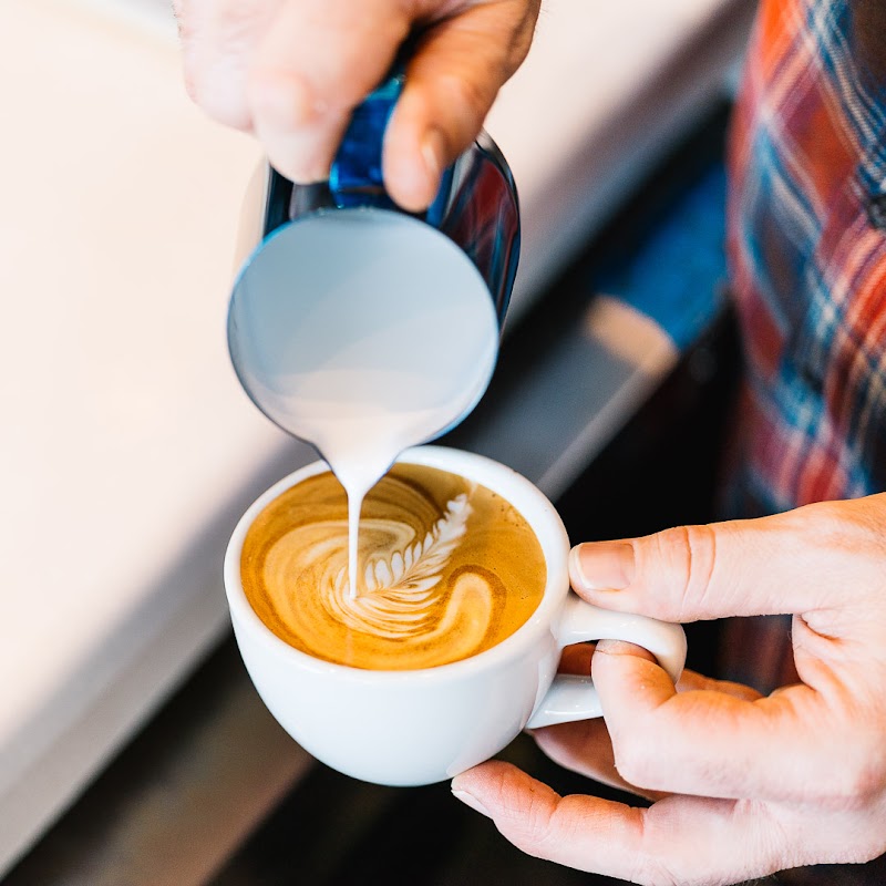 The Honeysuckle Coffee Co.