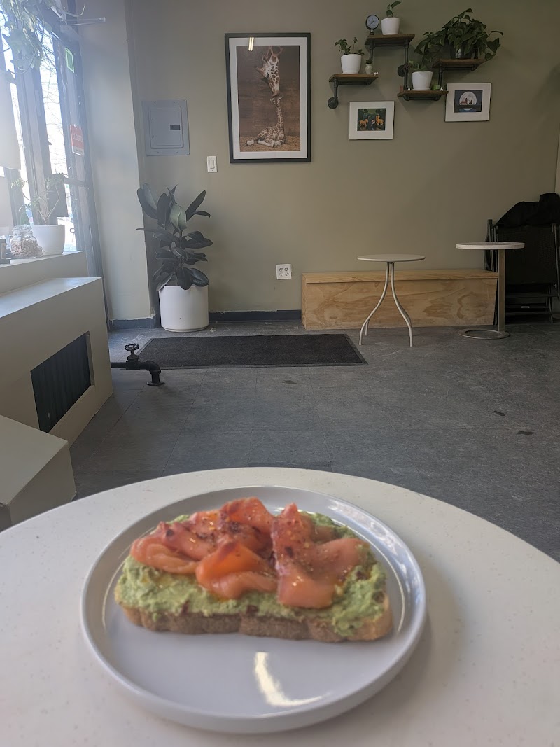 Catalpa house Coffee Shop