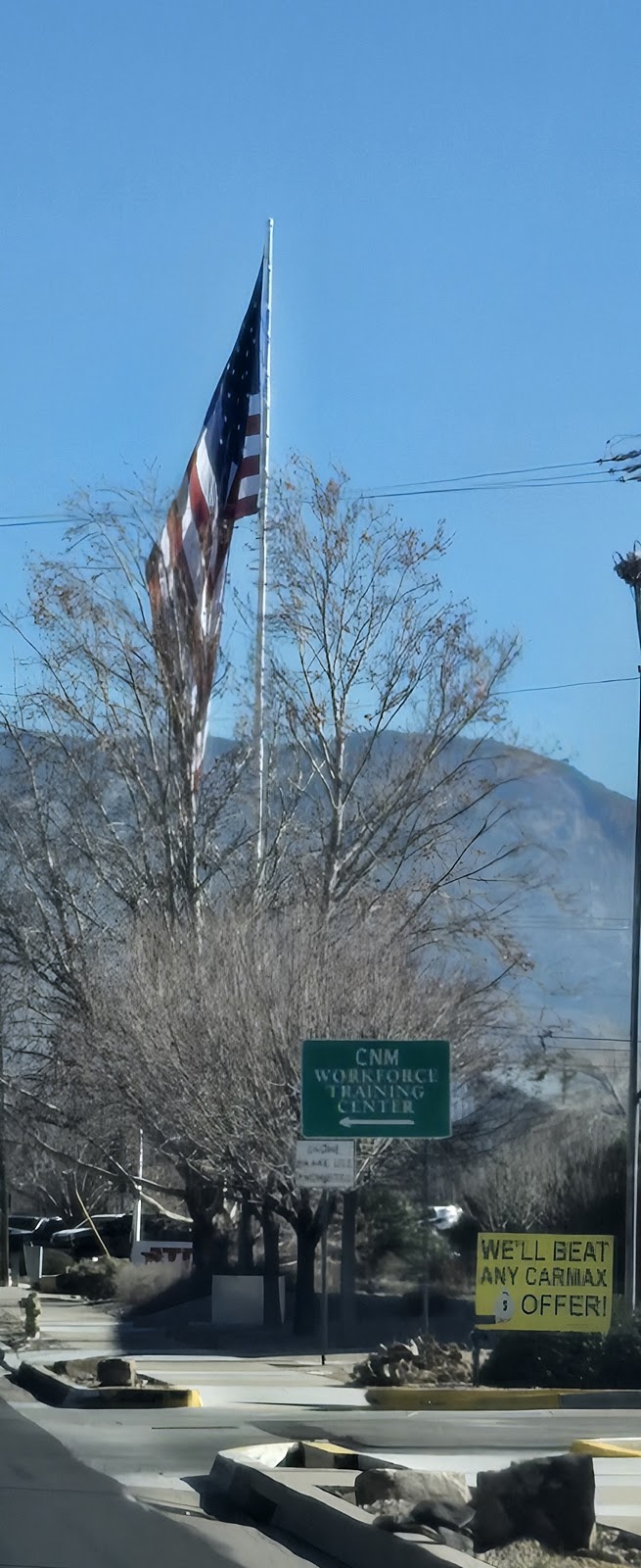 Wildflower Coffee Co