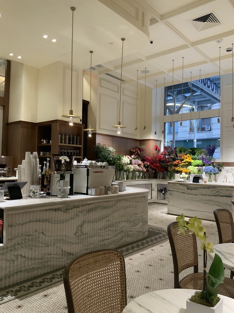 PlantShed at Kith Women