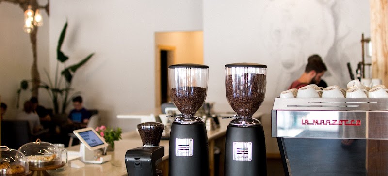 Silver Grizzly Espresso