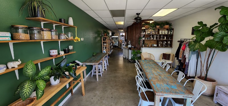 Organic Tree Juice Bar