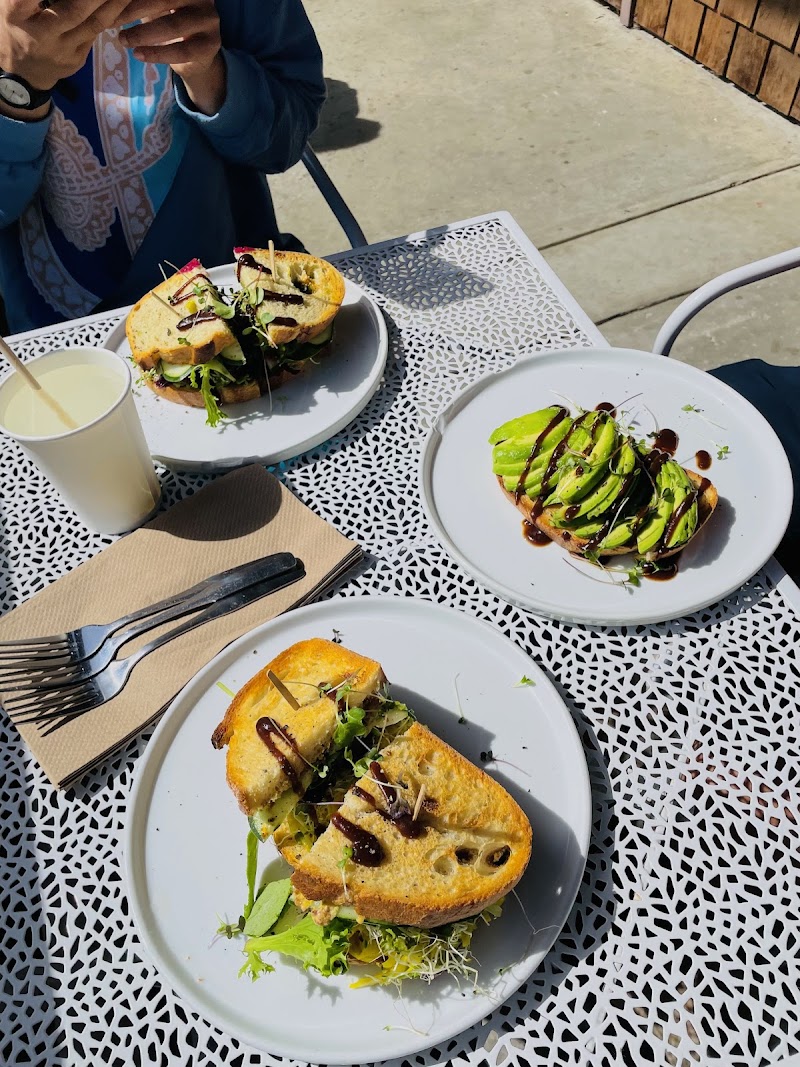 Organic Tree Juice Bar