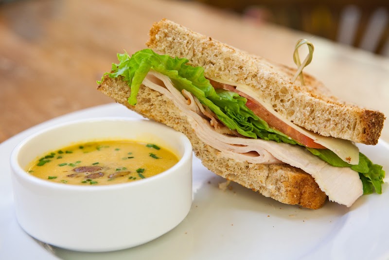 Open City at the National Cathedral