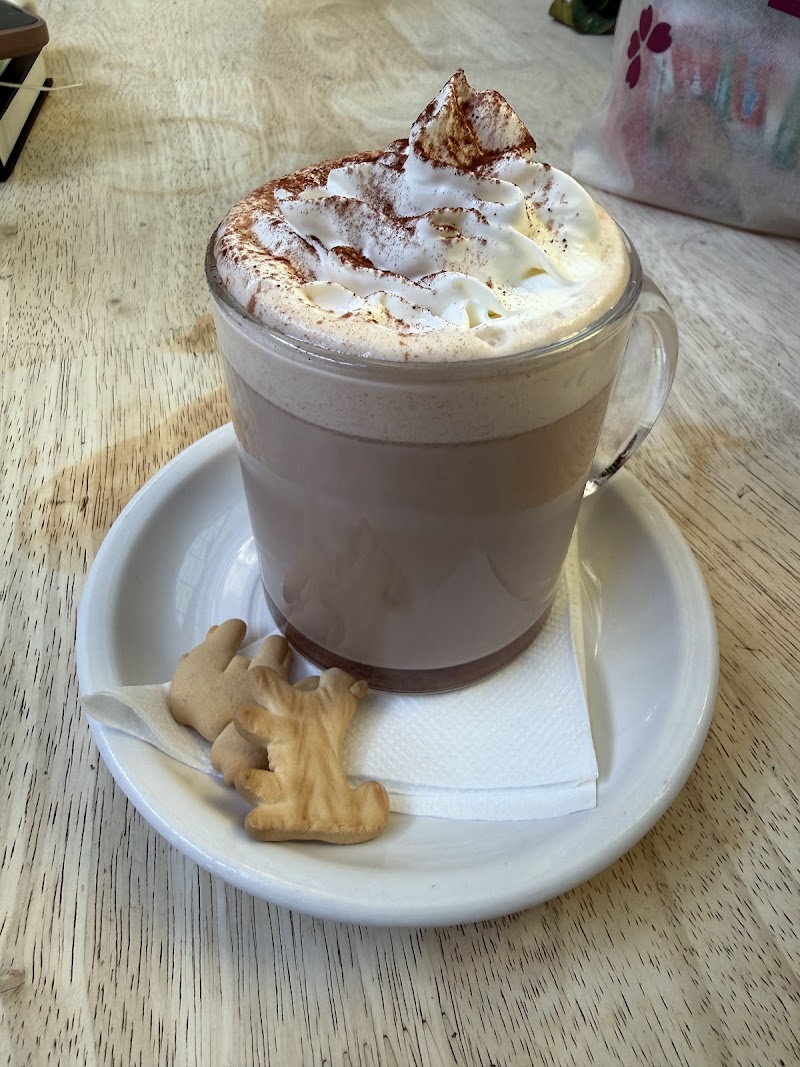 Open City at the National Cathedral
