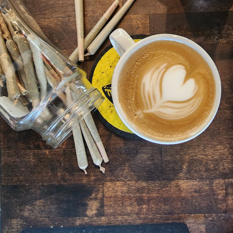 Lazydaze Pflugerville