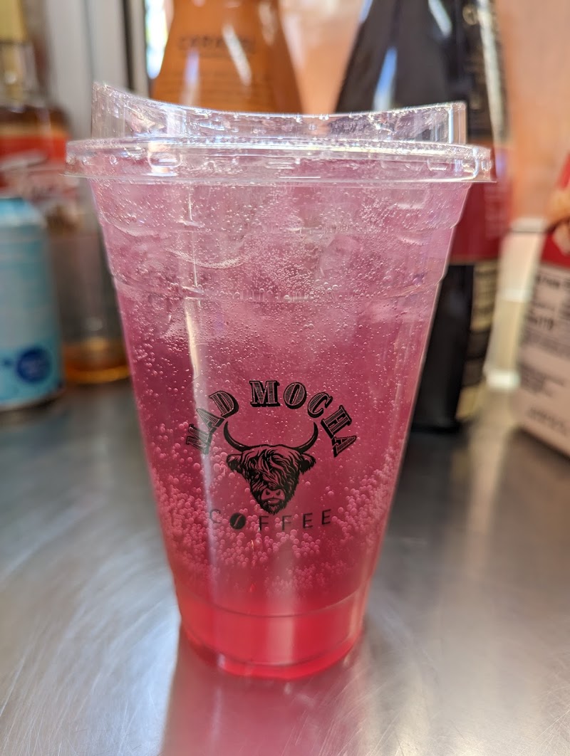 Mad Mocha Coffee - Inside The Enclave Salon Suites