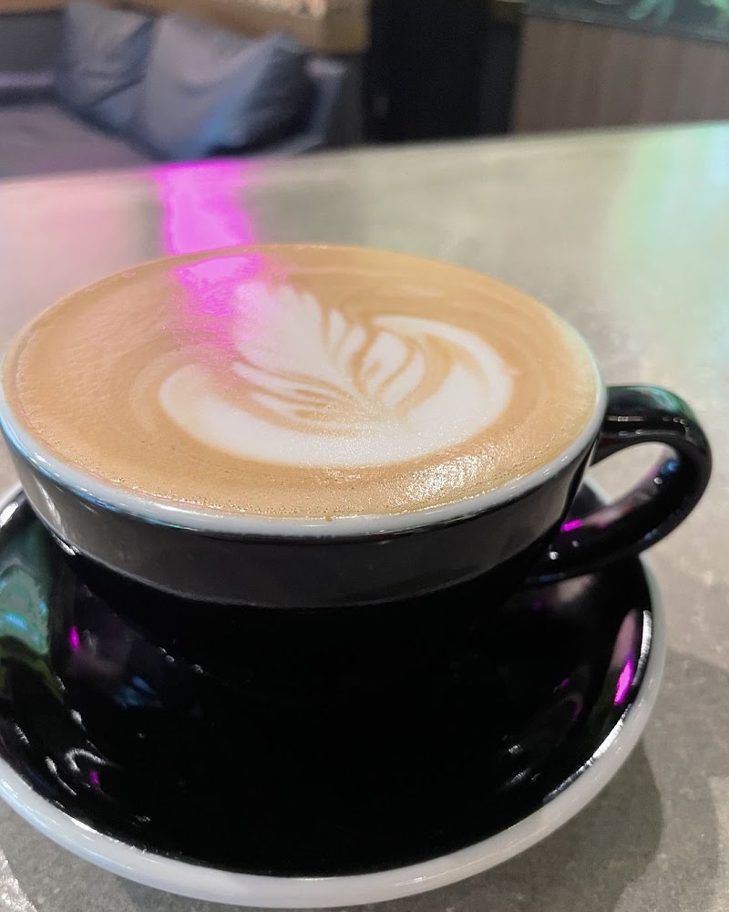 The Muddy Root Kava Cafe