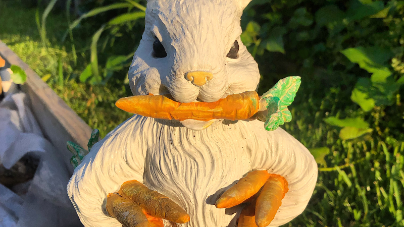 Creative Juices Natural Cafe