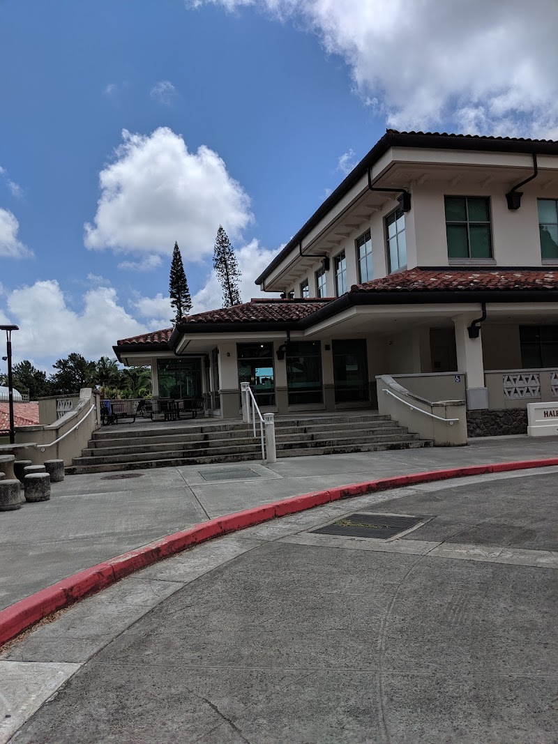 Island Brew’s The Hub