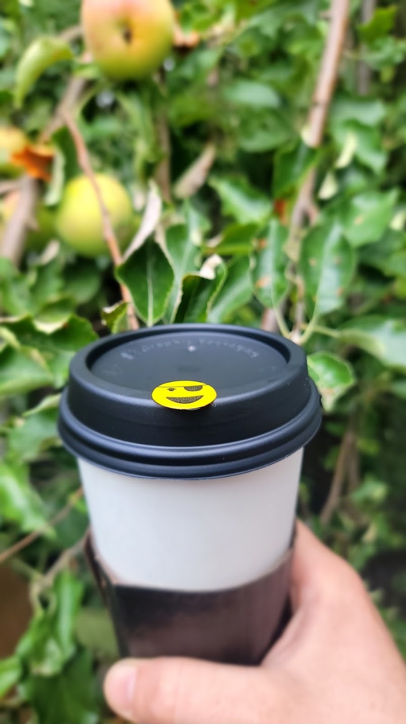 Leann’s Coffee Co.