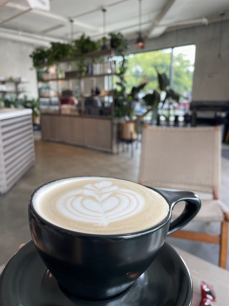 The Boy & The Bear - Coffee Roastery