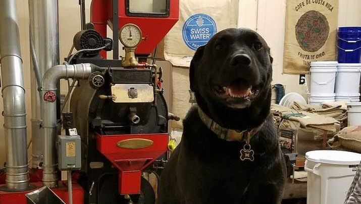 The Black Dog Coffee Company