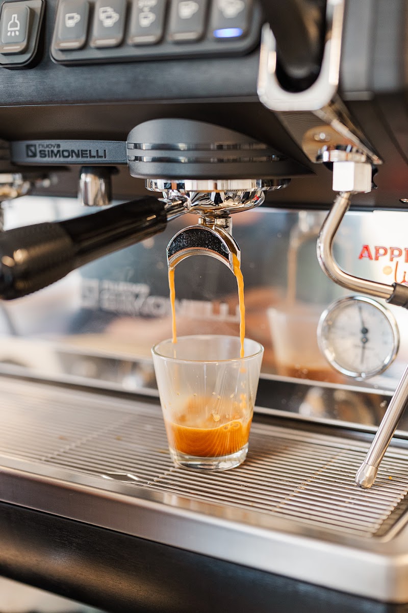 Daily Brew Coffee Trailer