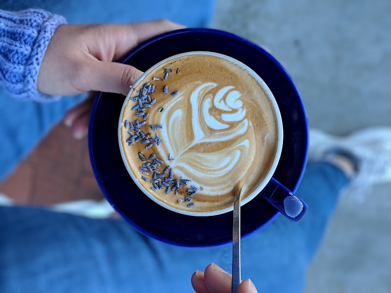 The Forum Coffee House