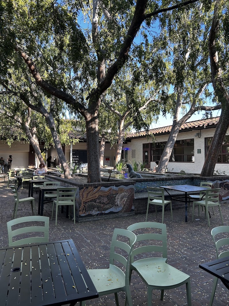 The Motley Coffeehouse