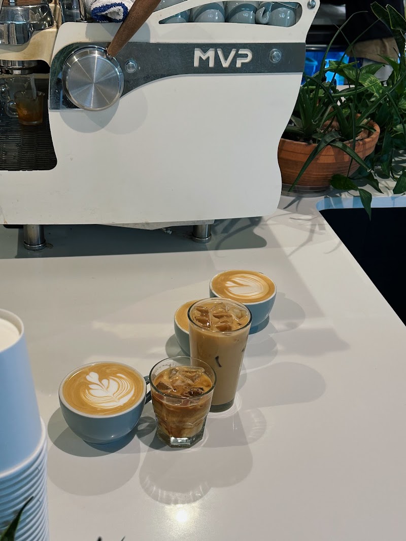 Little Bear Coffee - Uptown