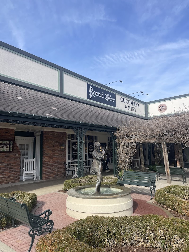 Rooted Coffeehouse Surrey Center