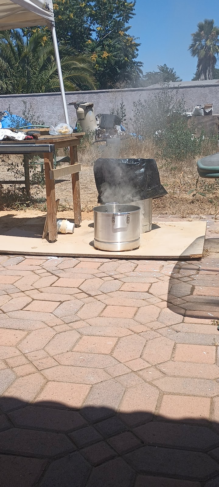 Tamales Oaxaqueños y Sinaloenses