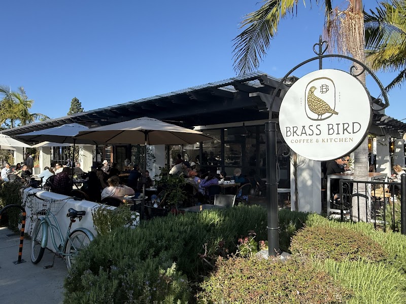 Brass Bird Coffee & Kitchen