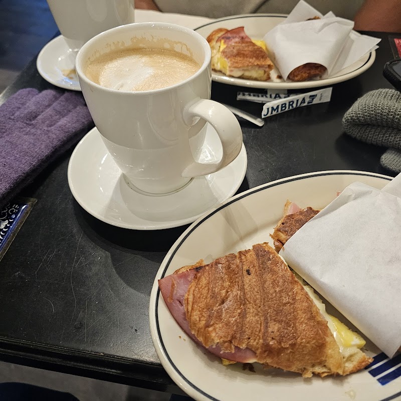 Caffe Umbria Olive Way