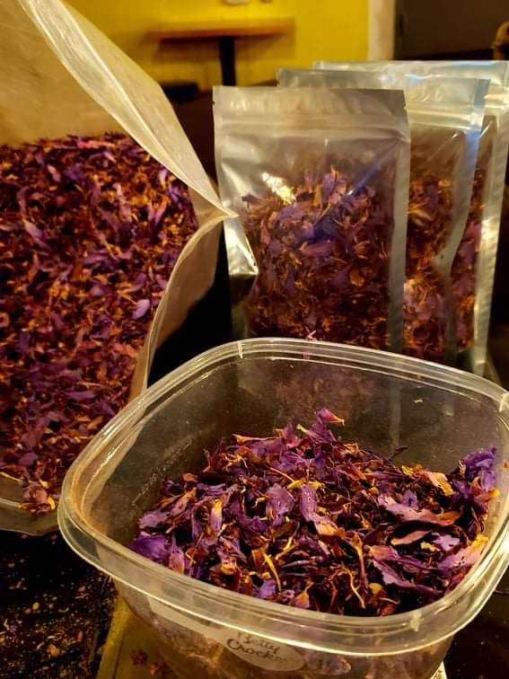 Roots and Leaves: Casa de Kava