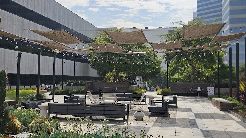 Silverback Coffee of Rwanda