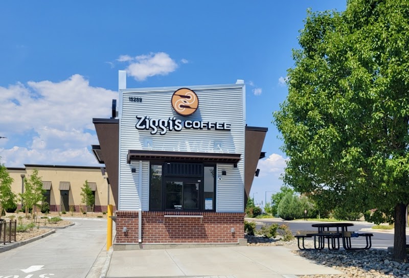 Ziggi's Coffee