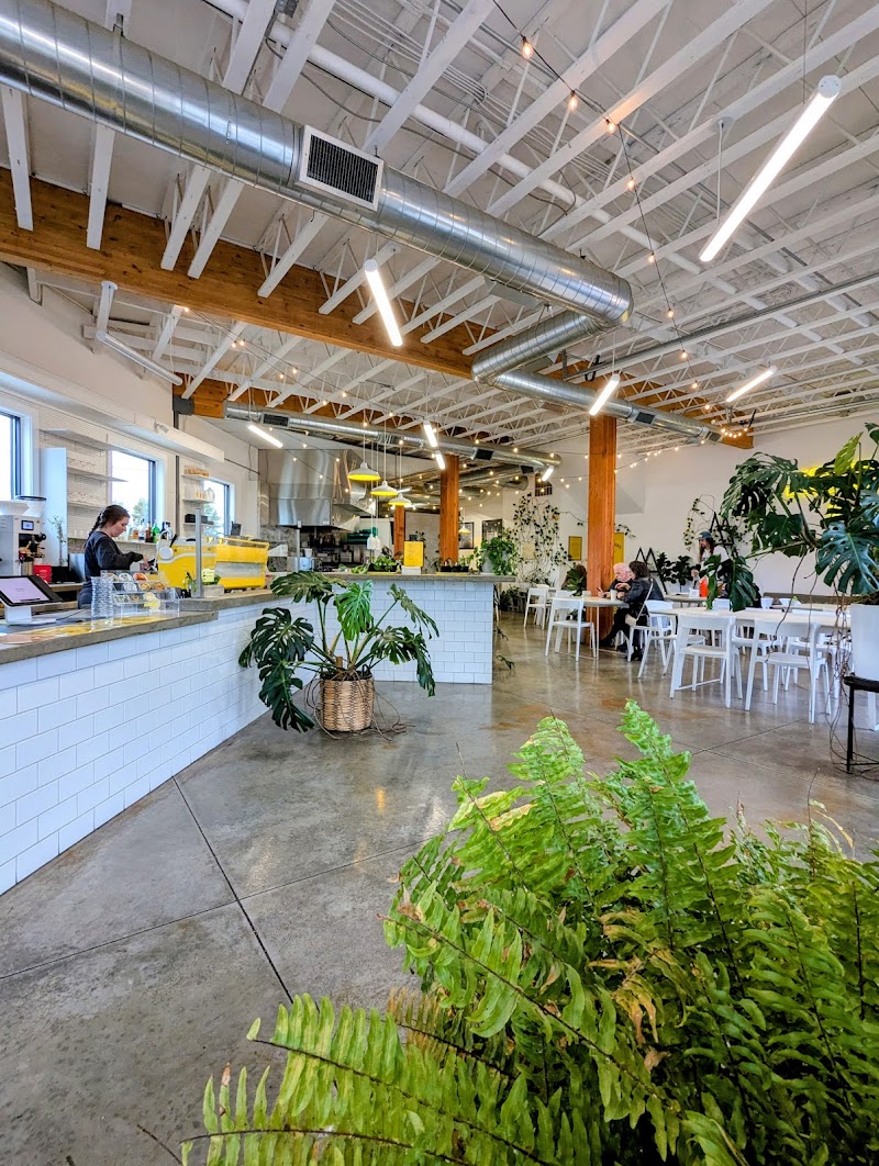 Electric Coffee House